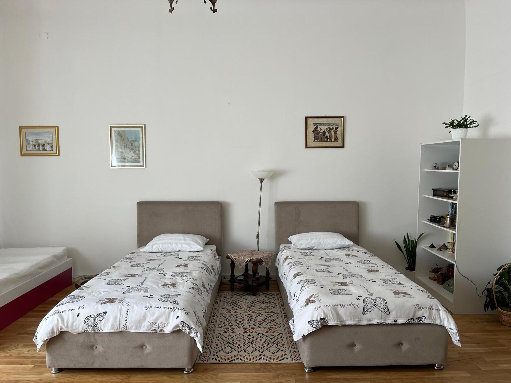 The Best Location Salon Apartment With Main Street View ซาราเยโว ภายนอก รูปภาพ